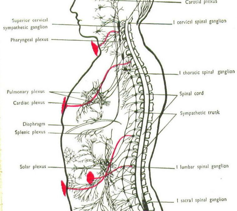 Csakrák és ászanák 4.: Anáhata – Szívcsakra
