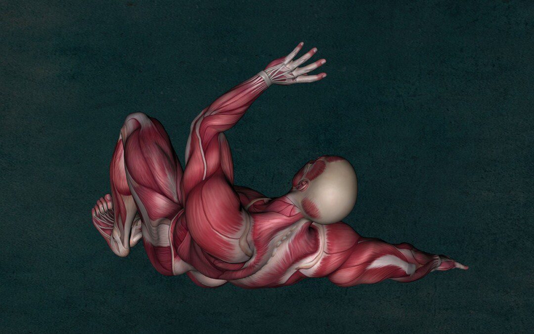 Miért ne nyújtsuk a combhajlítókat?