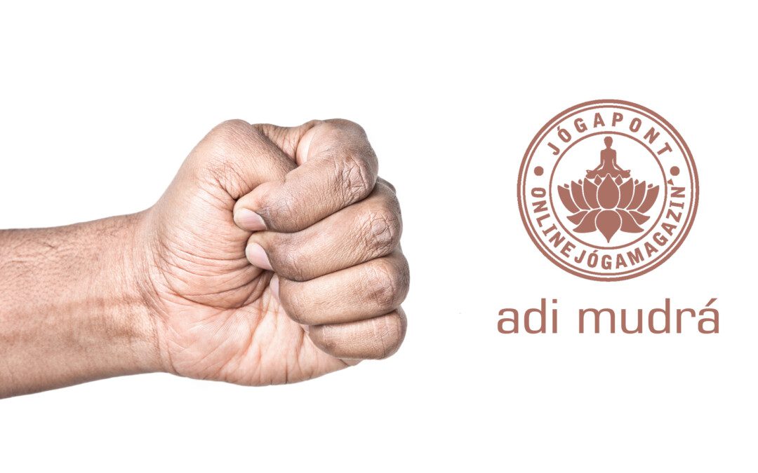 Adi mudrá