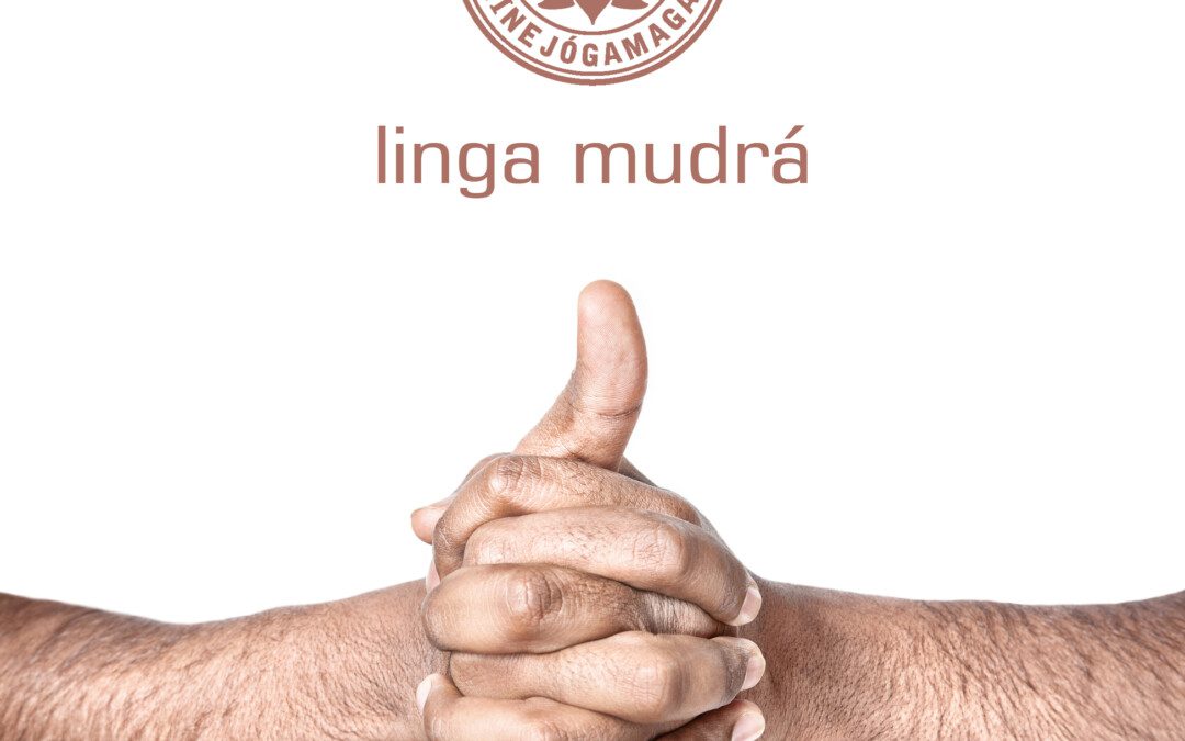 Linga mudrá