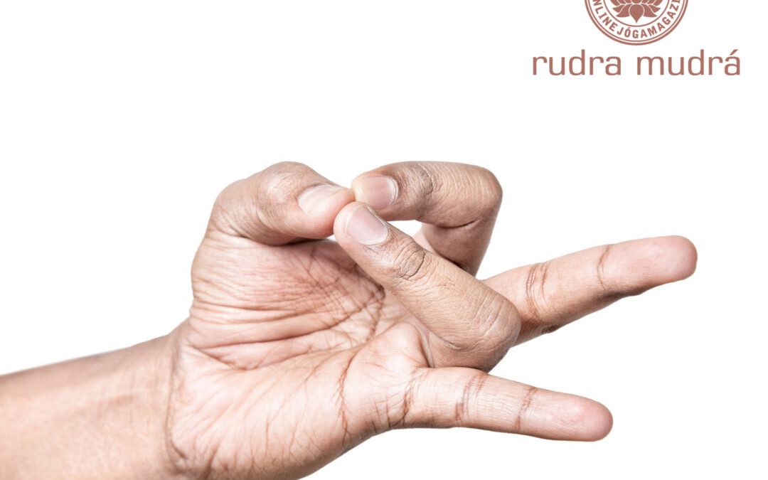 Rudra mudrá