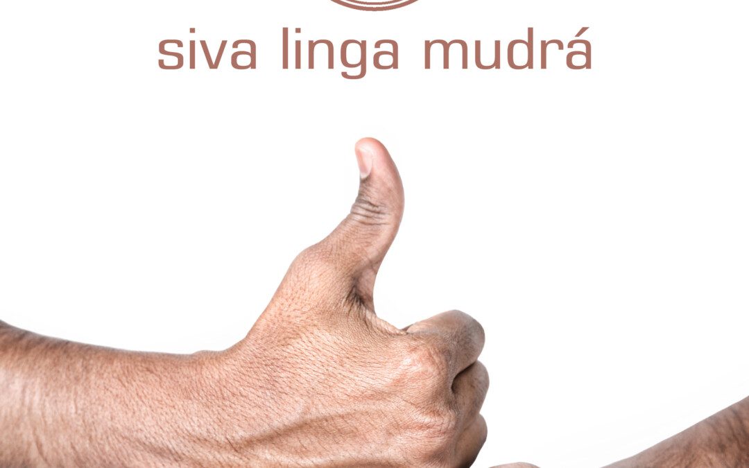 Siva linga mudrá