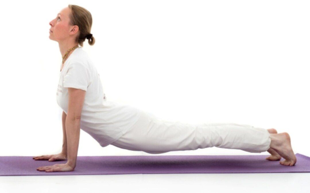 Úrdhva-mukha-svanászana – Fölfelé néző kutyapóz