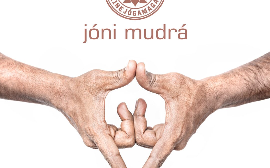 Jóni mudrá