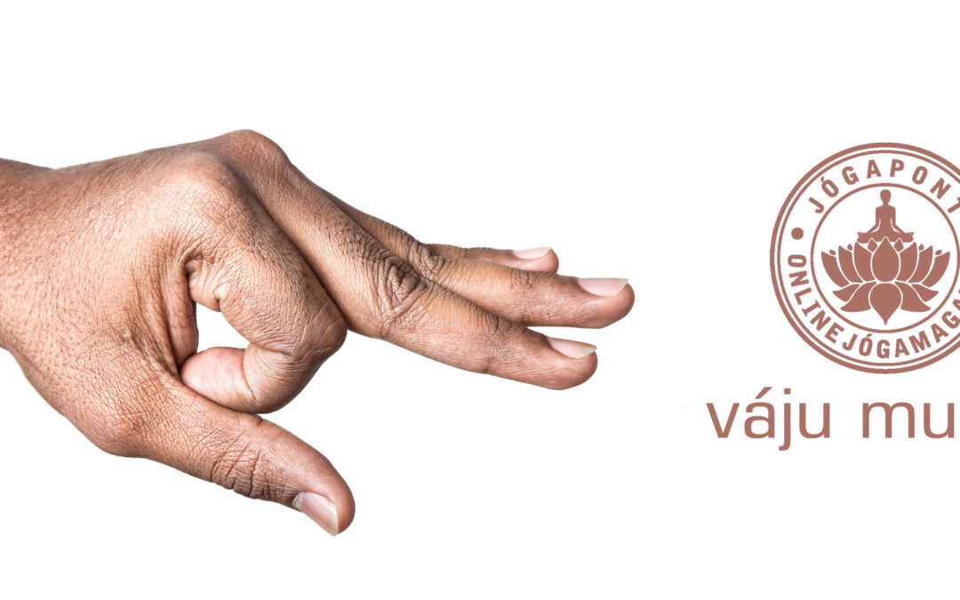 Váju mudrá