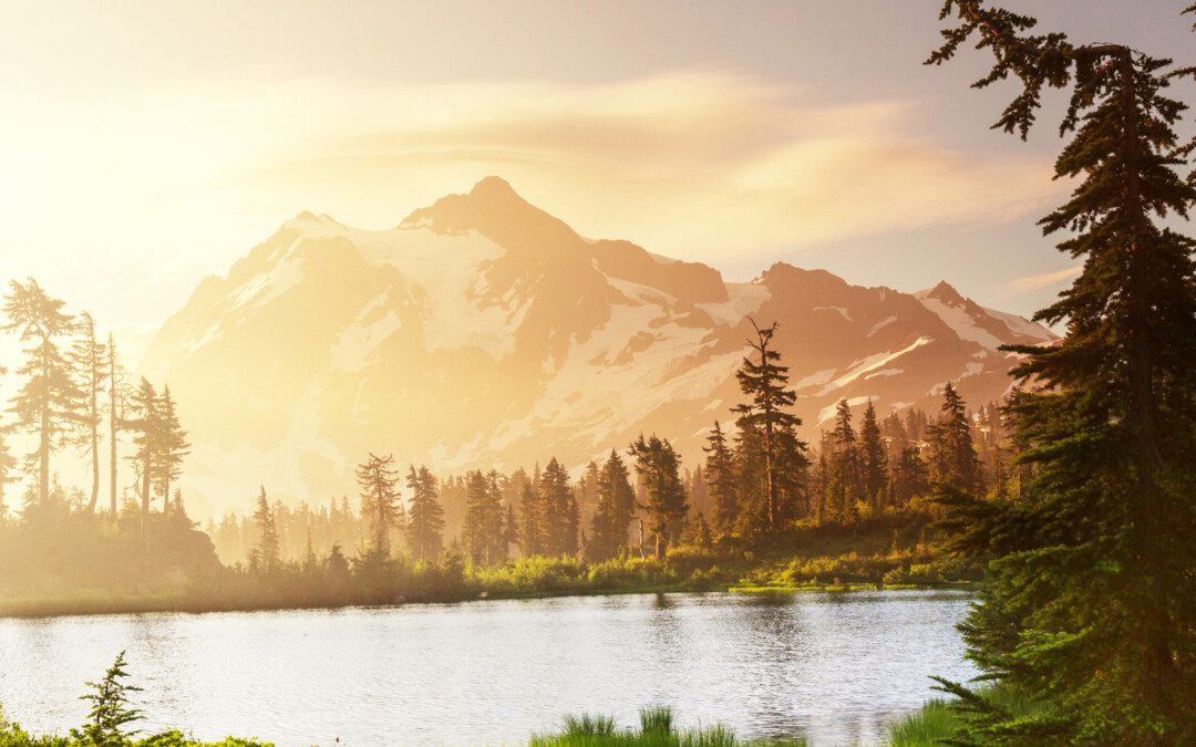 Gondolatról gondolatra: energia relaxáció