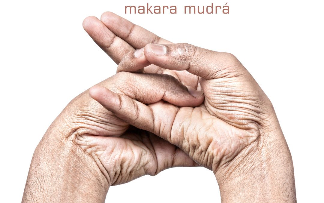 Makara mudrá