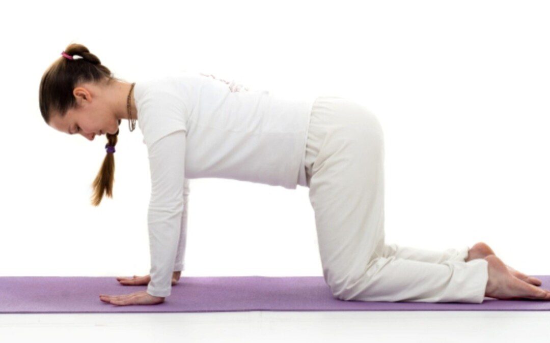 Márdzsárászana – Macskapóz