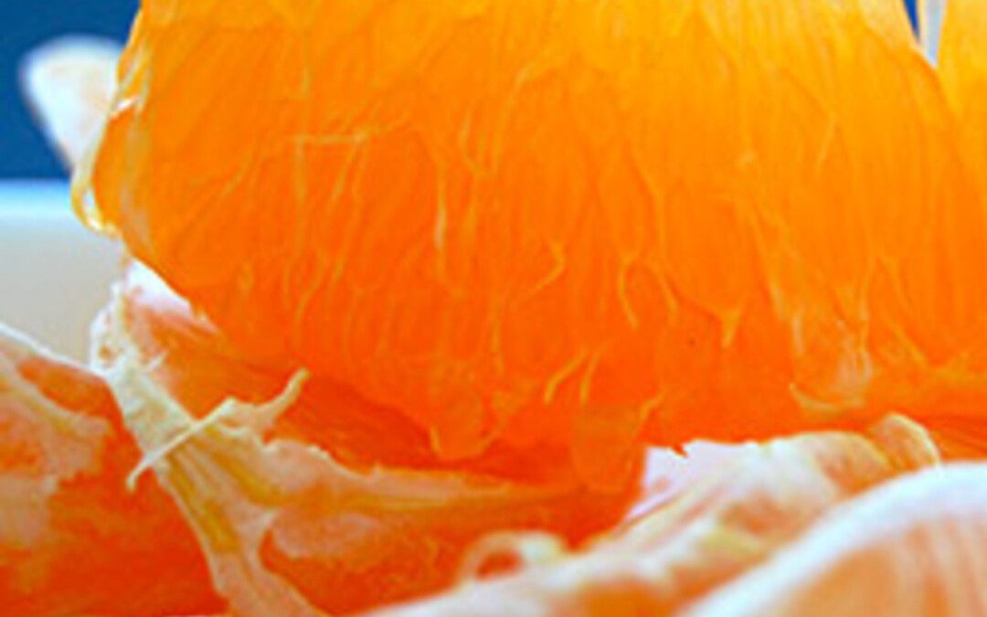 Szövetségesünk a kötőszövet