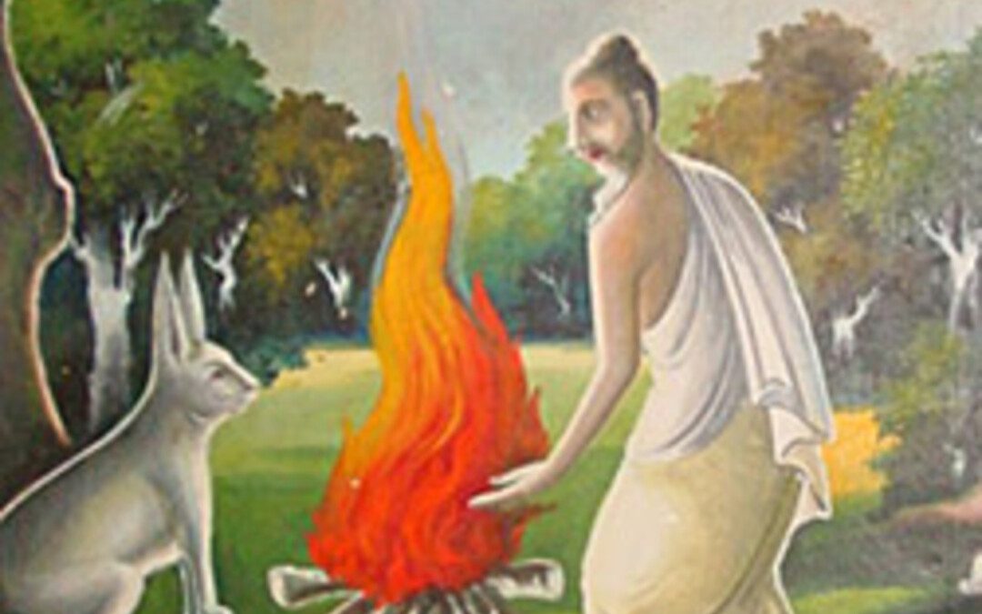 Állati jó ászanák – Hogyan került a nyúl a holdra?