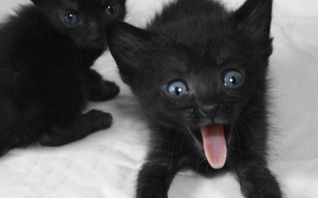 Egészséges édesfinomság