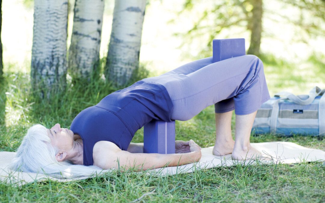 A hídon át vezető út (3. rész) – A vállöv mobilitása