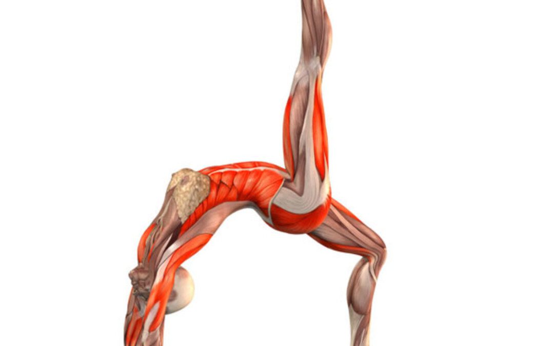 A hídon át vezető út (6.rész) – a lábak