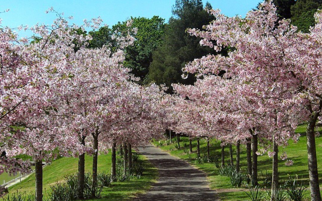 Csillagjóga – áprilisi időszak