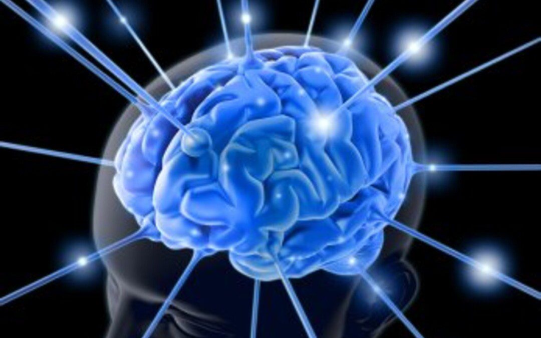 Isten hozta létre az agyunkat, vagy fordítva?