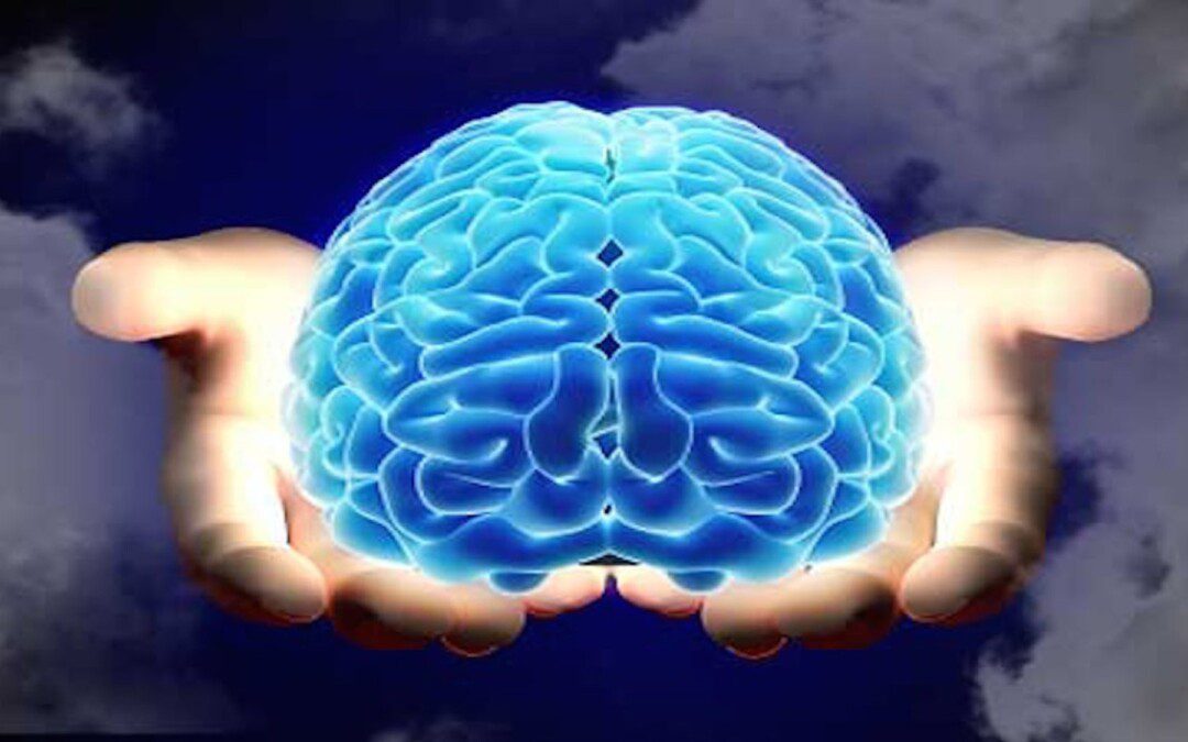 Isten hozta létre az agyunkat, vagy fordítva? – 3. rész