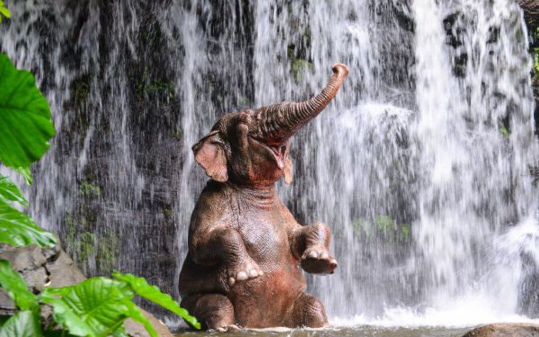 Fürödj meg India bölcsességében!