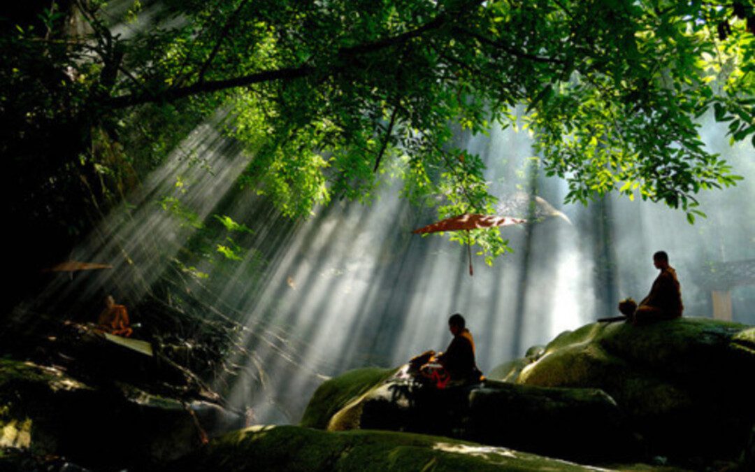 Mankók a spirituális fejlődés újtán