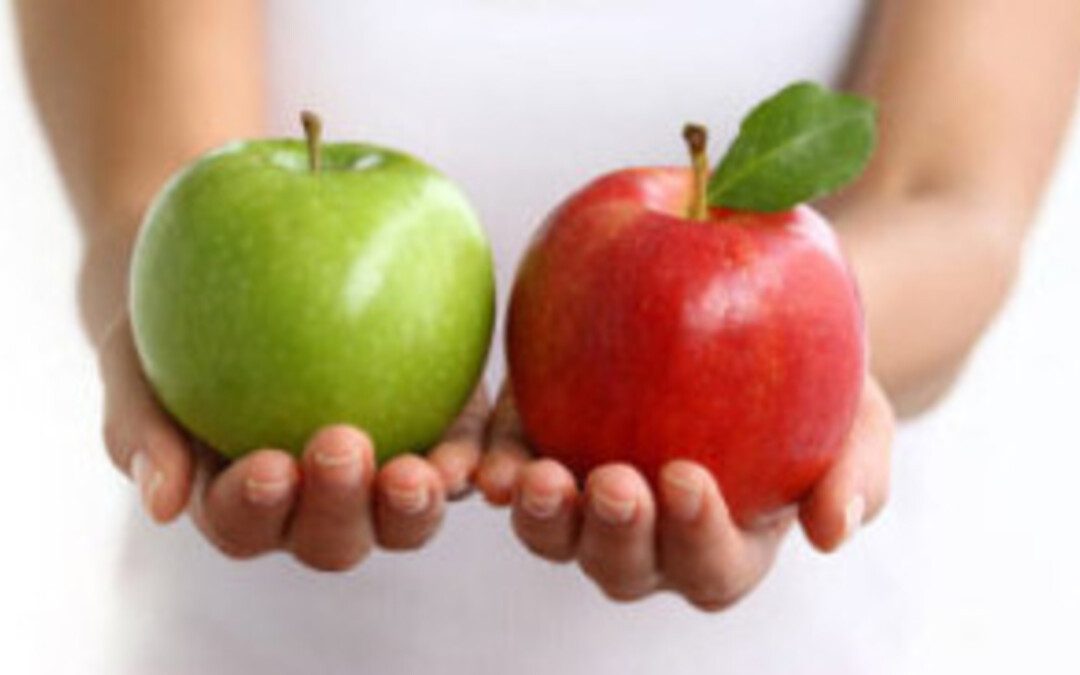 Tízféle bizonyíték – I.7. szútra magyarázata