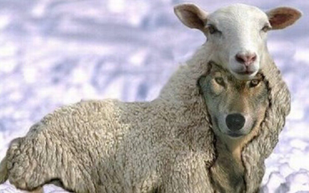 Kényes téma: a megkérdőjelezhető jellemű “guru” 6. rész