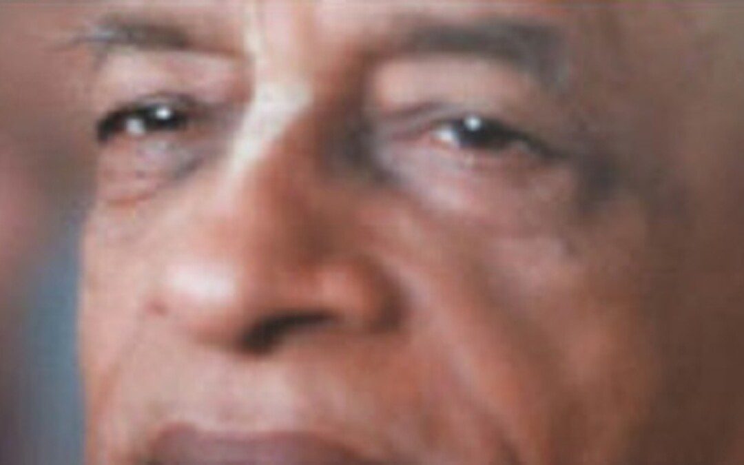 Nos, végül hol is az a bokor? 5.rész