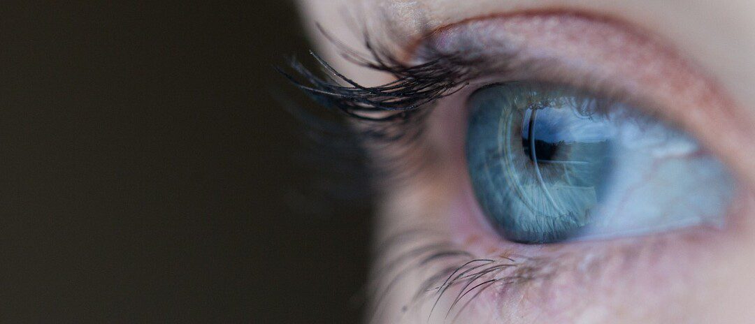 A helyes ismeretszerzés módszerei