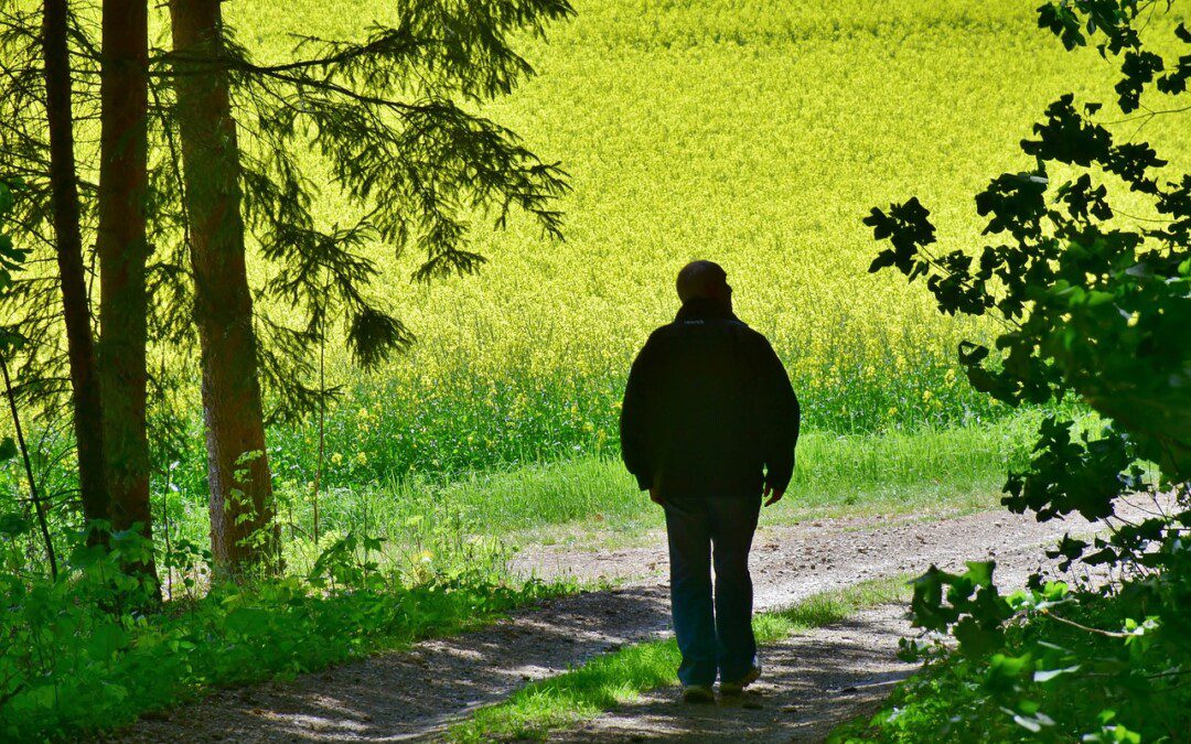 A testet öltött élőlények négyféle hiányossága