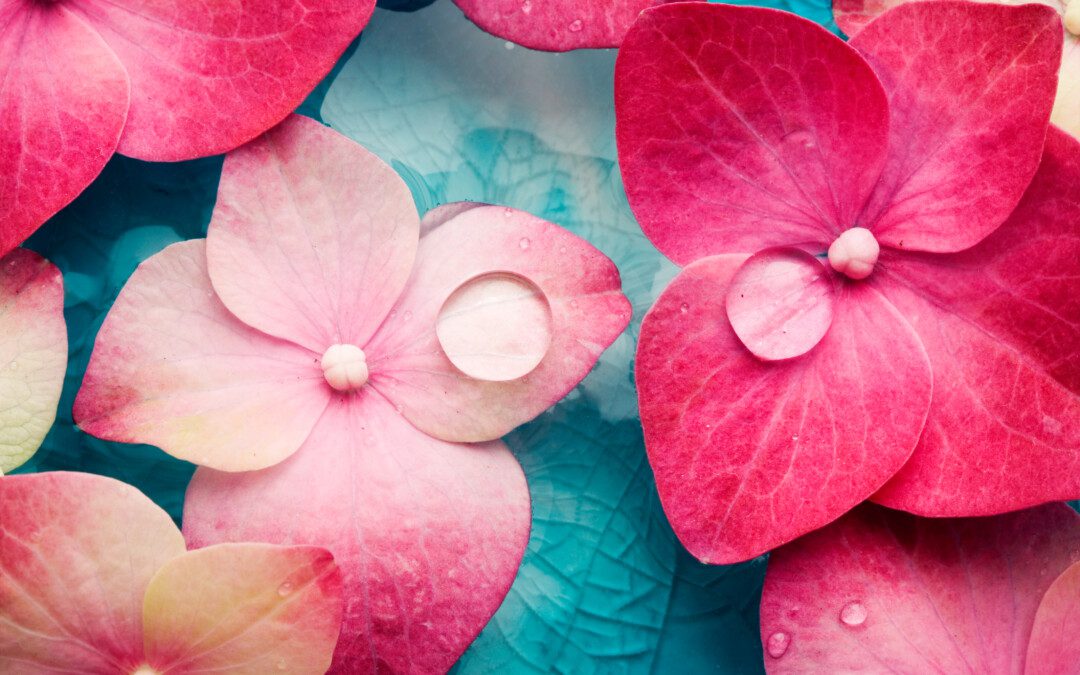 Az erőteljes női tisztulásról