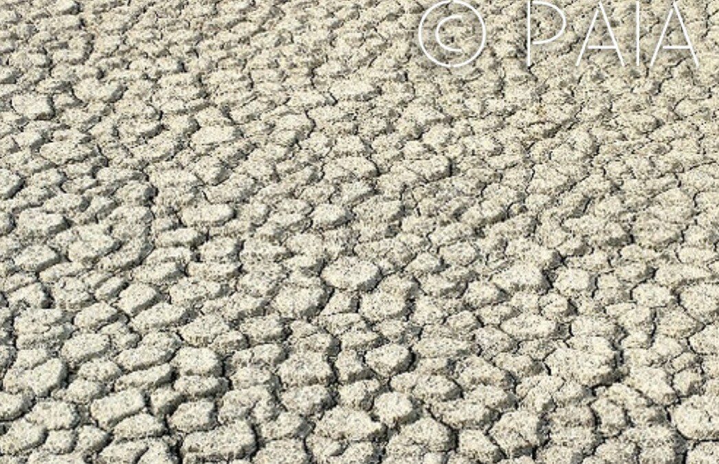 Környezeti válság: tévhit önmagunkról