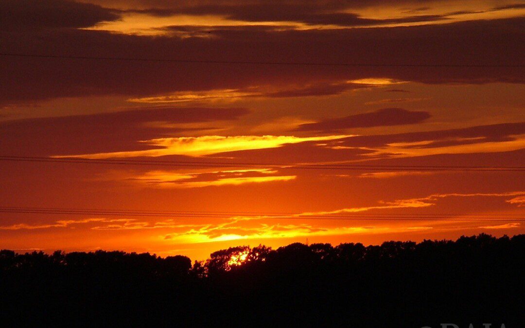 Albert Schweitzer, az élet tisztelete és a szellemi út