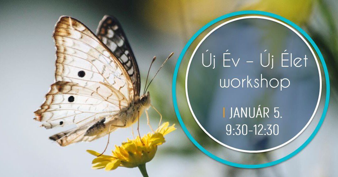 Új év, új élet workshop – 2020