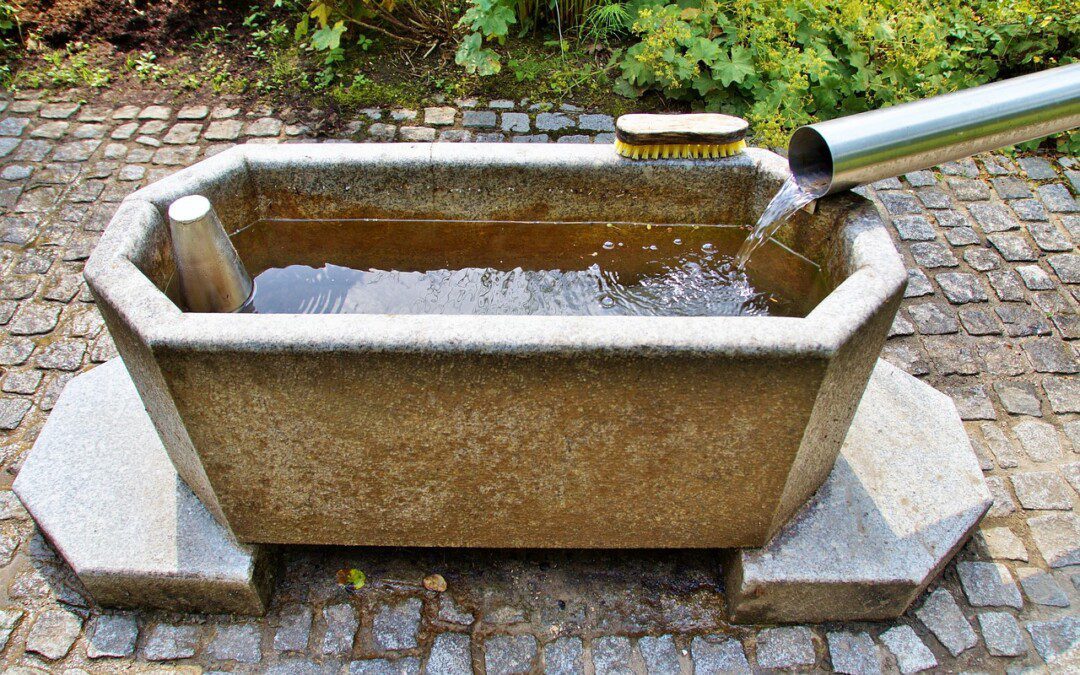 Kneipp-kúra – immunerősítés és stresszcsökkentés otthon