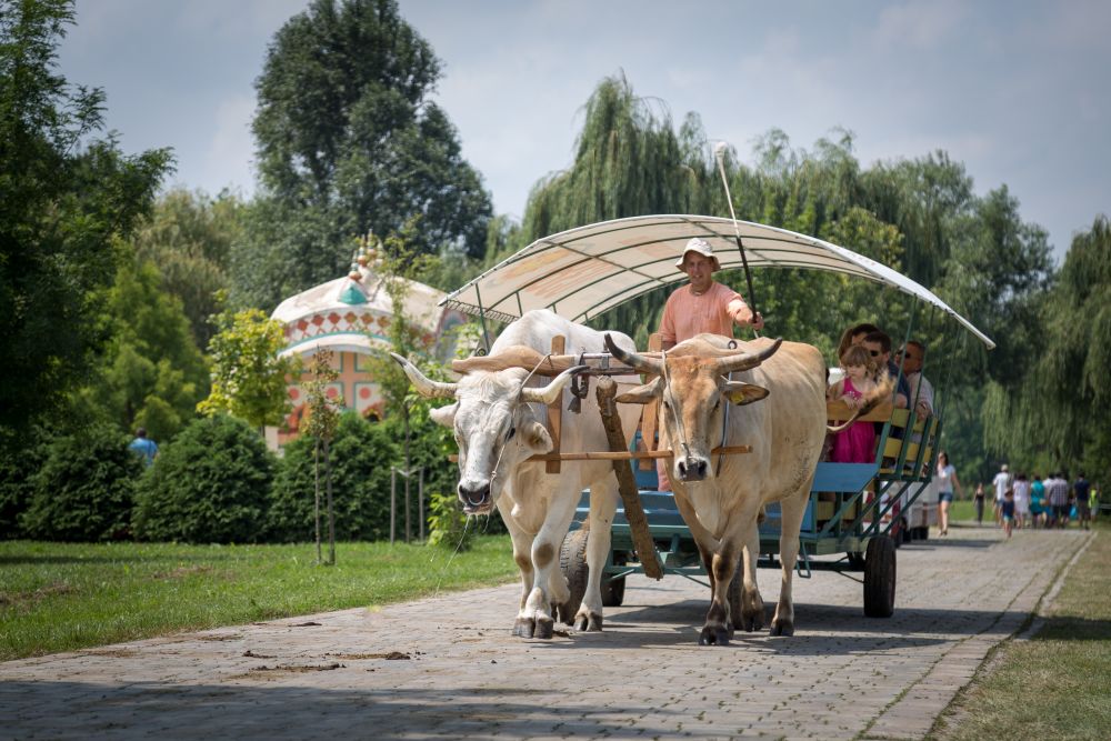 Természetesen gyönyörű – letisztult varázsával vár a 25. Krisna-völgyi Búcsú