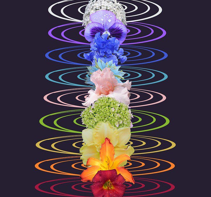 A piñcha-mayūrāsana élettani hatásai