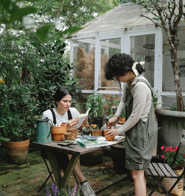 Három ok, hogy elkezdj gyógynövényekkel foglalkozni