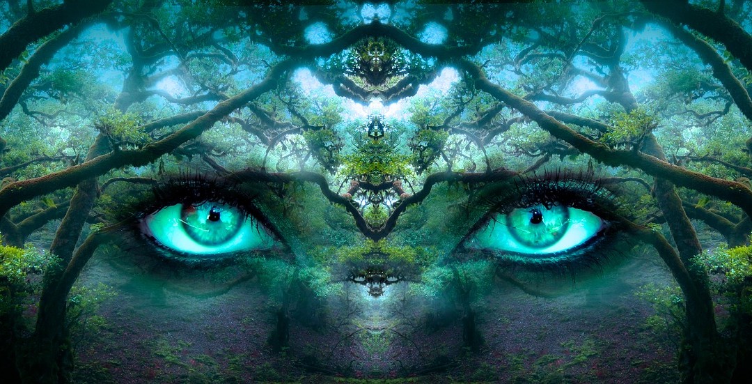 A karma törvénye, ami átírja az életedet