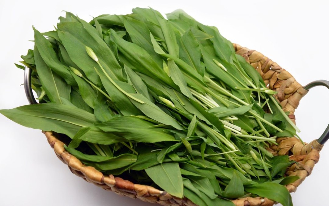 Ízleld meg a tavaszt! Medvehagyma krémleves & zöldséges quiche (lepény)