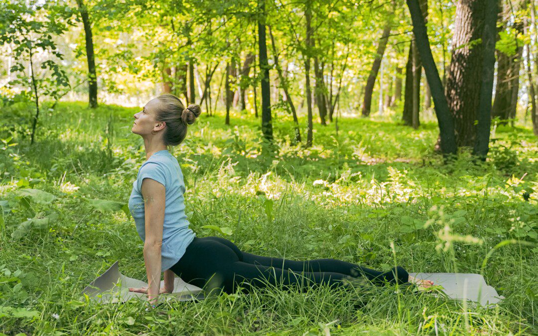 Jóga a fák között