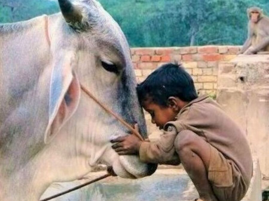 Létezhet szeretet tisztelet nélkül?