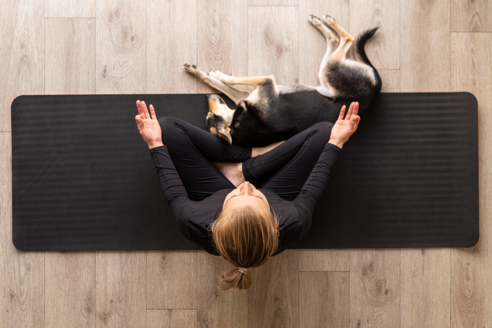 Miért fontos megtalálni az ideális meditációs testhelyzetet, és az milyen?