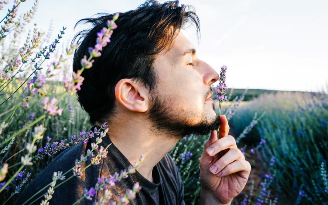 Gyógynövények és a planéták