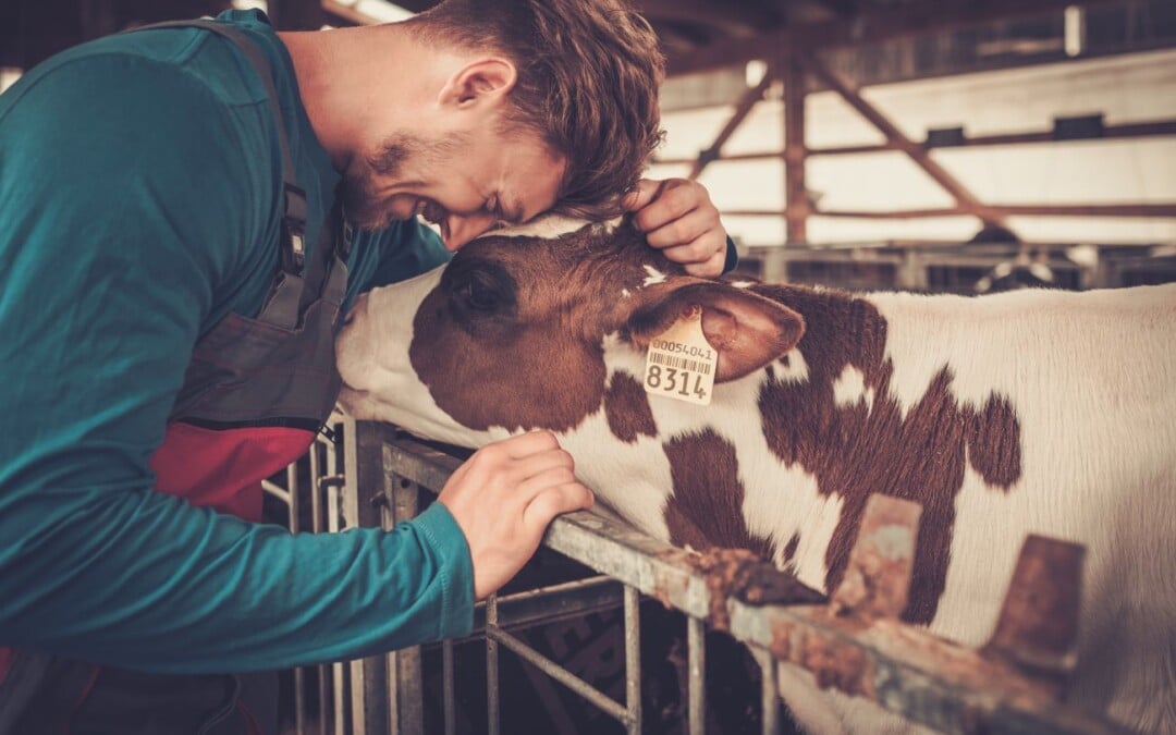 Miért legyek vegetáriánus?