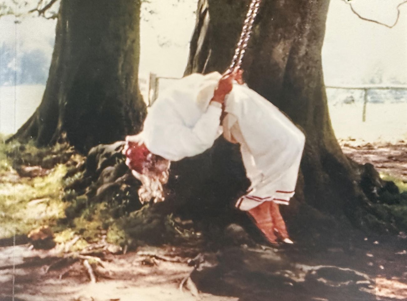 Jógatradíciók – Iyengar jóga